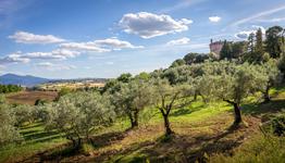 Paesaggio Natura Agricoltura