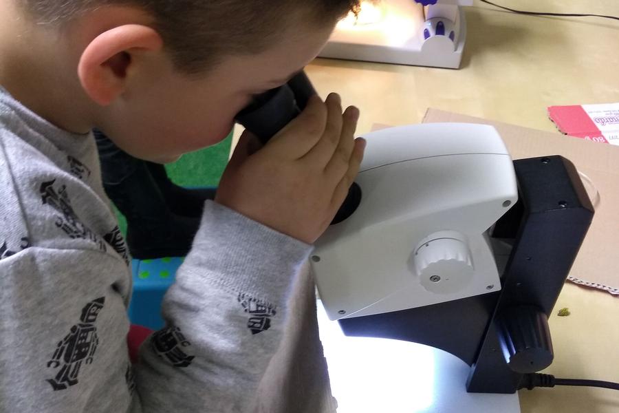 Microscopio che passione - 11/04/2019 