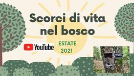 SCORCI DI VITA NEL BOSCO - Estate 2021
