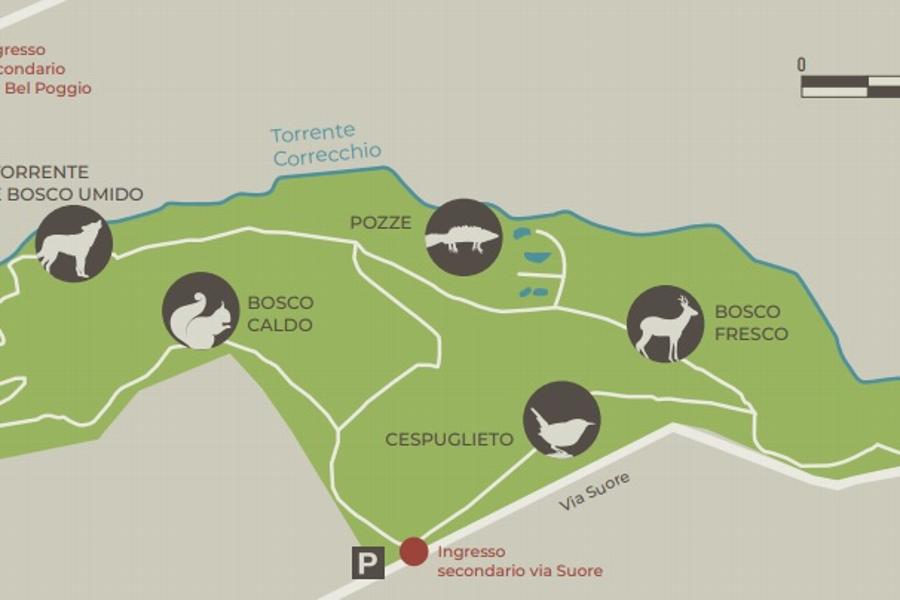 Mappa bosco Frattona    